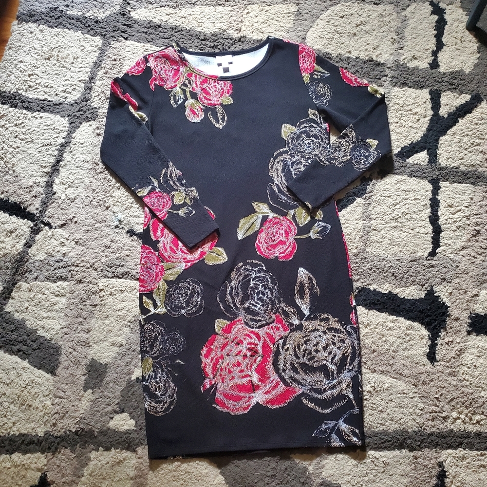 Lularoe Elegant Debbie Dress